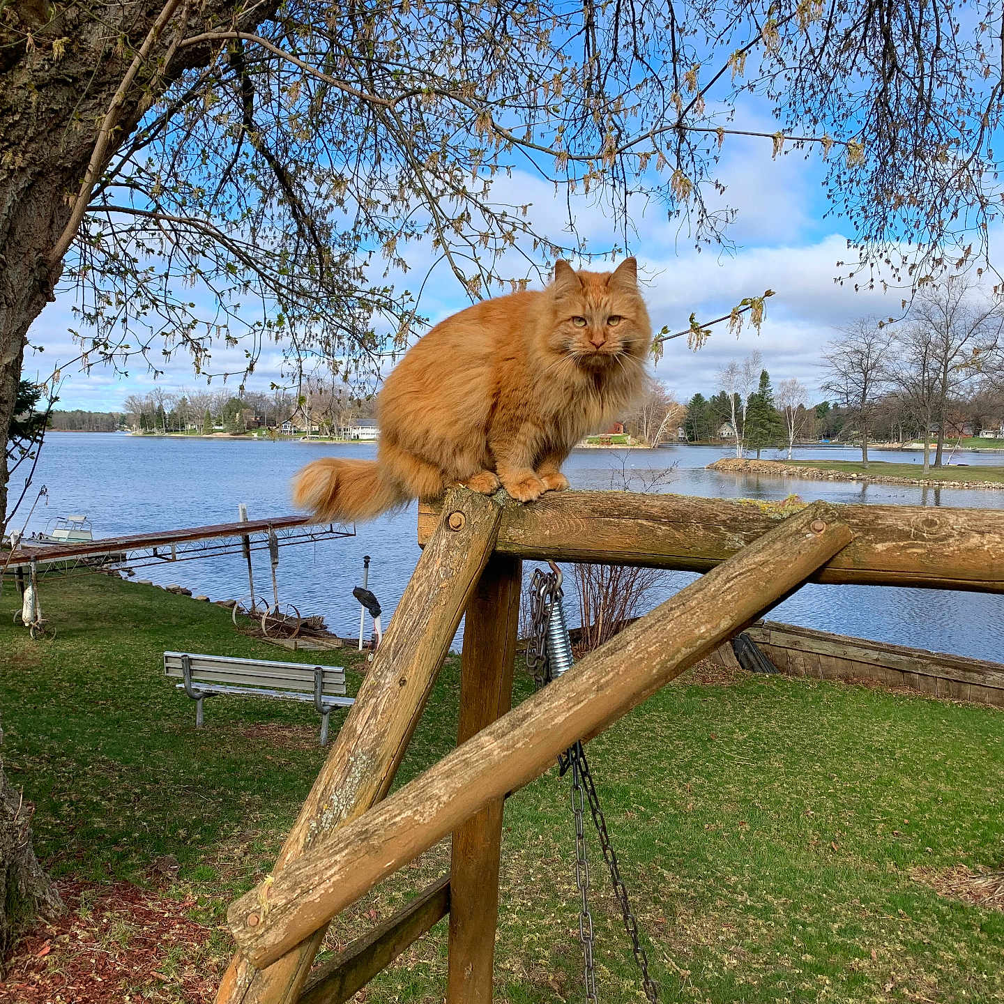 Archie