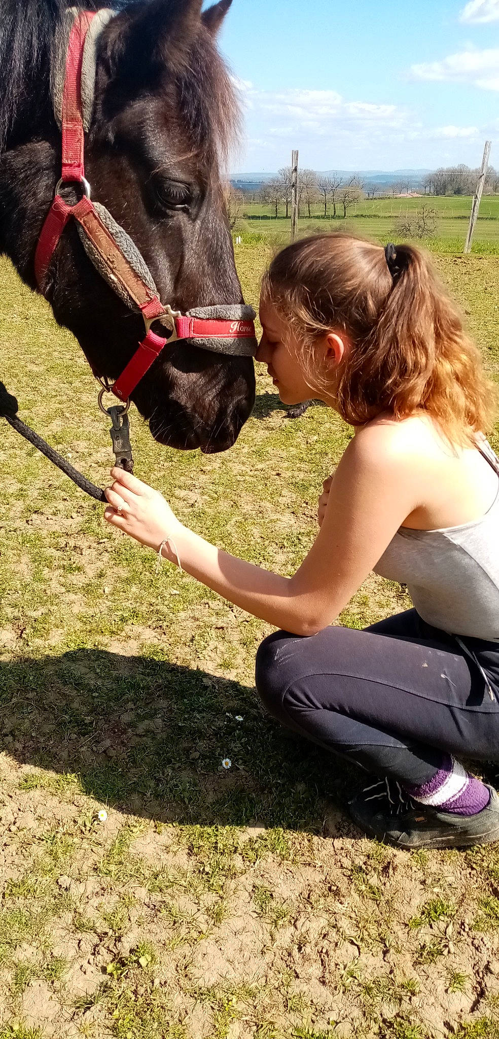 Uranie a rejoint le concours — aidez-le/la à gagner de superbes lots ! bridle, grass, horse, horse_grooming, horse_supplies, horse_tack, livestock, mane, plant, pony, rein, riding_instructor, shetland_pony