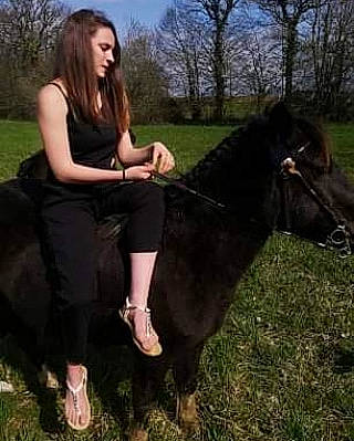 Uranie a rejoint le concours — aidez-le/la à gagner de superbes lots ! bridle, grass, horse, horse_supplies, horse_tack, landscape, liver, livestock, mane, mare, outerwear, pasture, pony, rein, riding_instructor, shetland_pony, stallion, working_animal