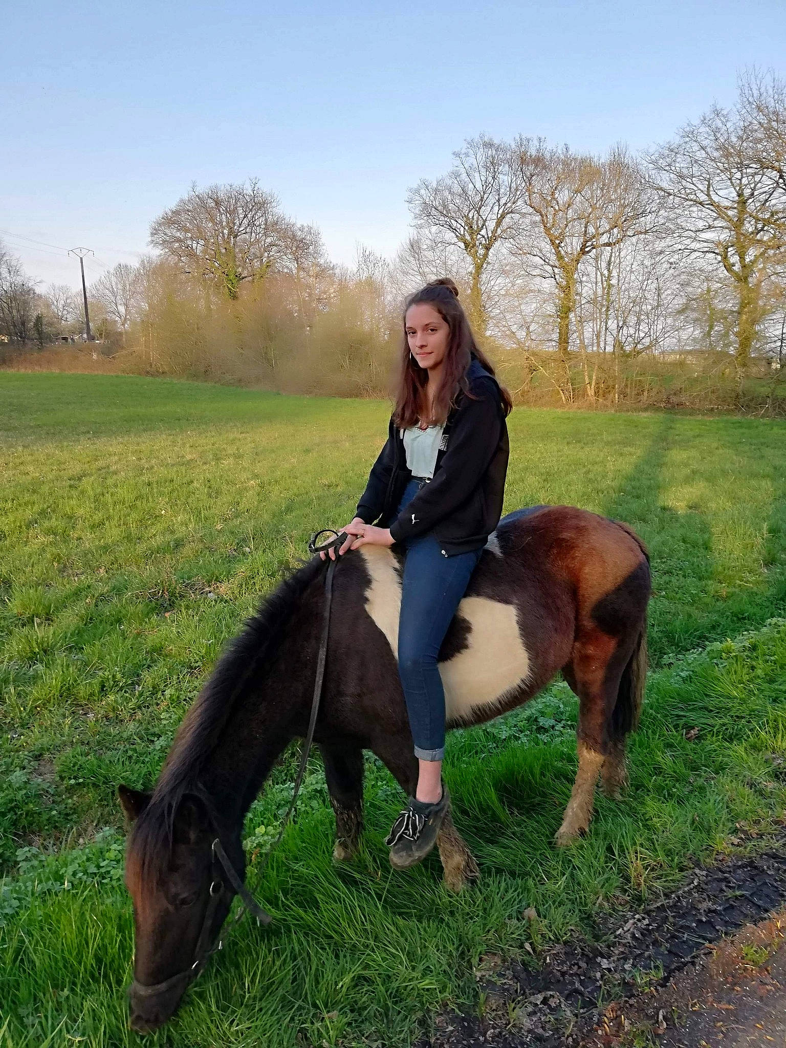 Choupa a rejoint le concours — aidez-le/la à gagner de superbes lots ! bridle, equestrian_sport, equestrianism, farm, grass, grassland, horse, horse_tack, mane, mare, meadow, pasture, plant, ranch, recreation, rein, riding_boot, riding_instructor, stallion, trail_riding