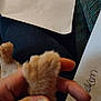 cat_paw, hand, fingers, orange_cat, close_up, paper, writing, fabric, striped, soft, pet, animal, fur, holding, indoor, human_hand, blurred_background, gentle, touch, domestic