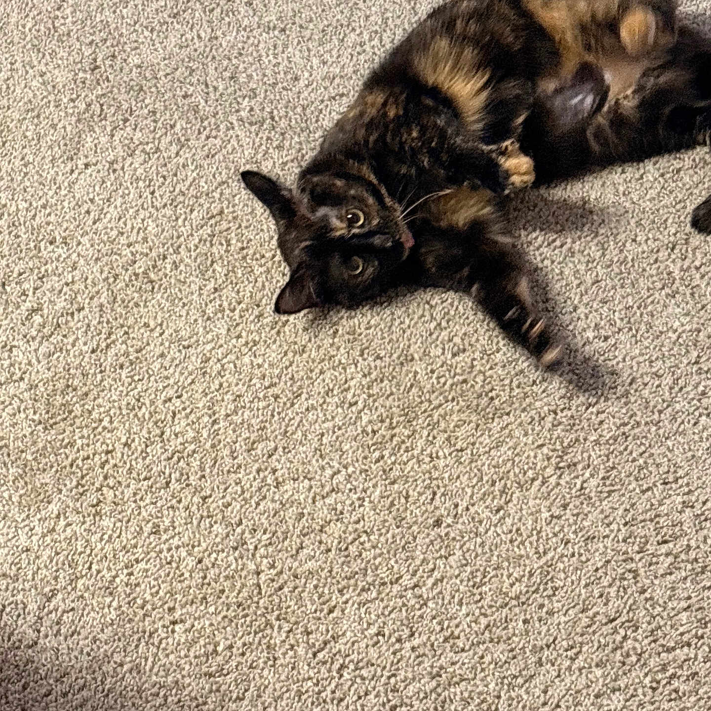 Ruby