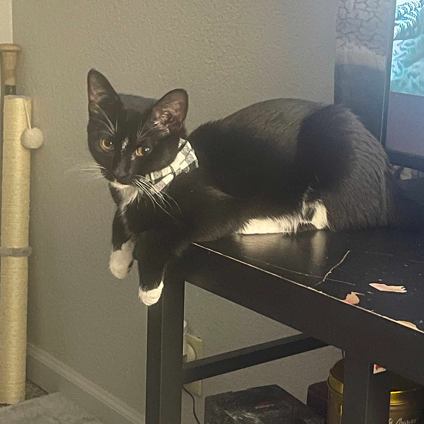 Loki
