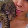 affection, brown_fur, cheek, closeup, cuddling, curly_fur, cute, dog, eyes, indoor, muzzle, nose_ring, person, pet, portrait, puppy, shoulder, skin, tank_top, woman