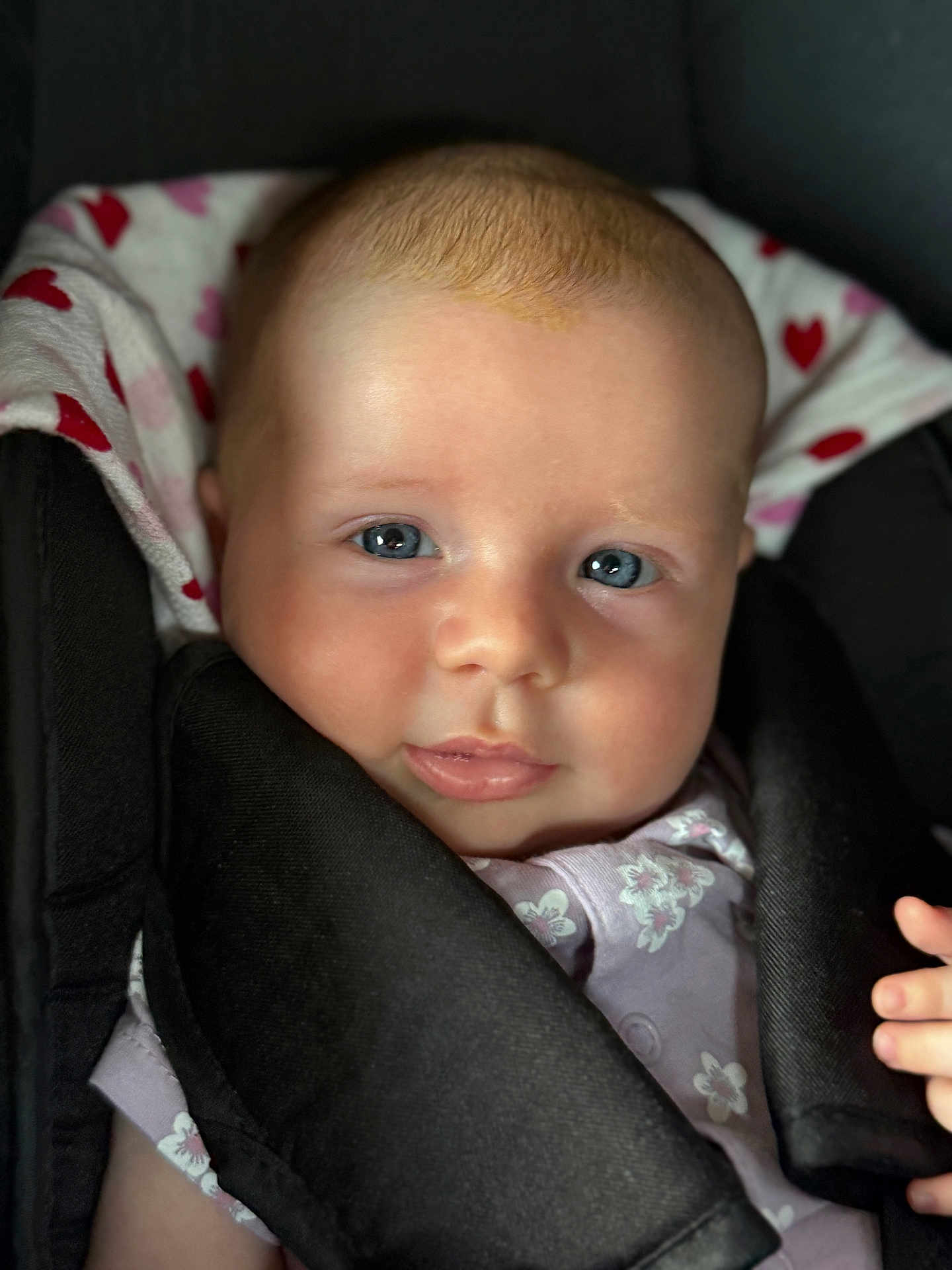 Chiara participe au concours pour gagner de l'argent avec cette photo : baby, infant, face, blue_eyes, car_seat, heart_pattern, clothing, child, portrait, cute, young, skin, expression, soft_light, closeup, head, hand, seat_belt, comfort, young_child