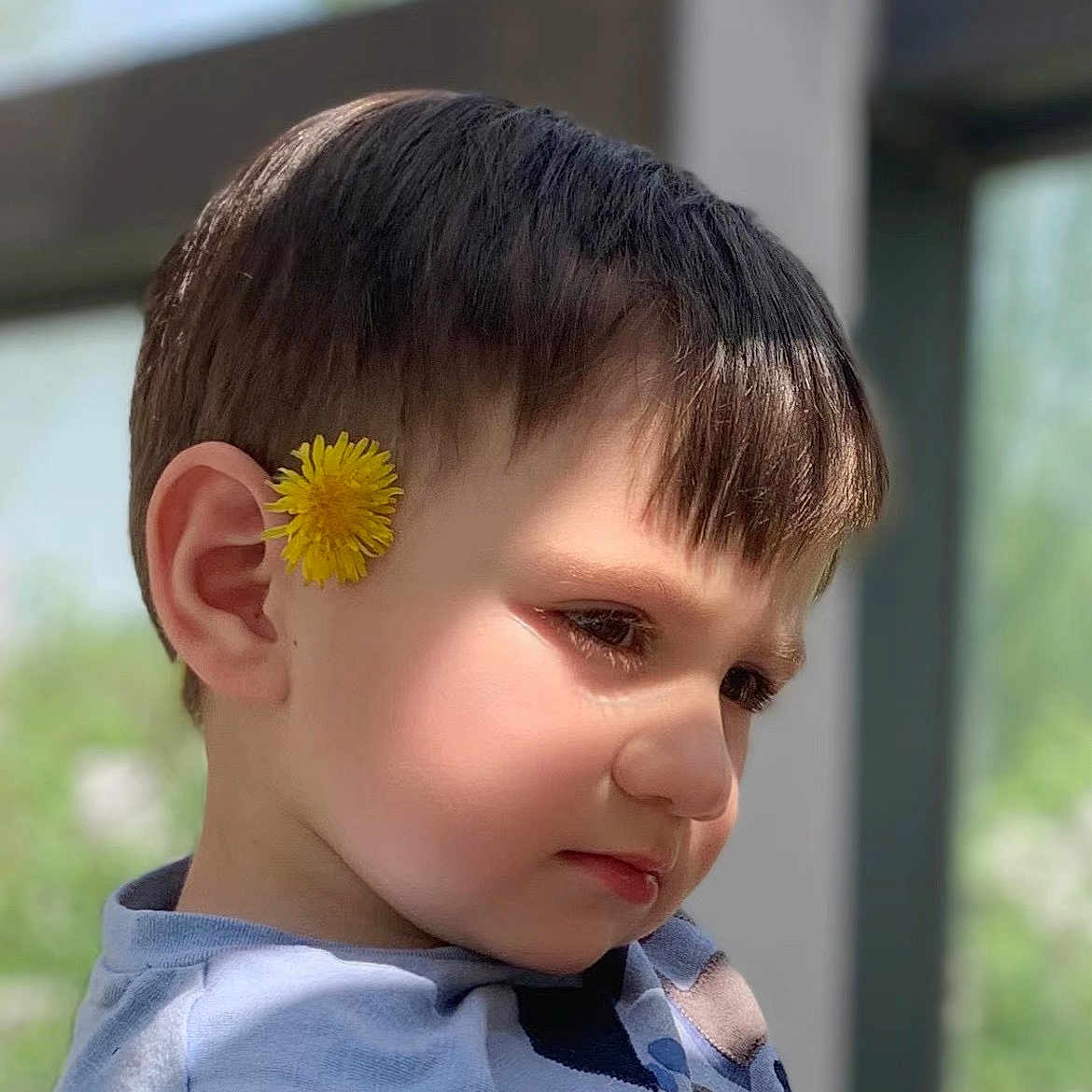 Edmund is registered to the contest to win money with this photo: blackhair, boy, brownhair, child, crewcut, hair, male, person, pixiecut