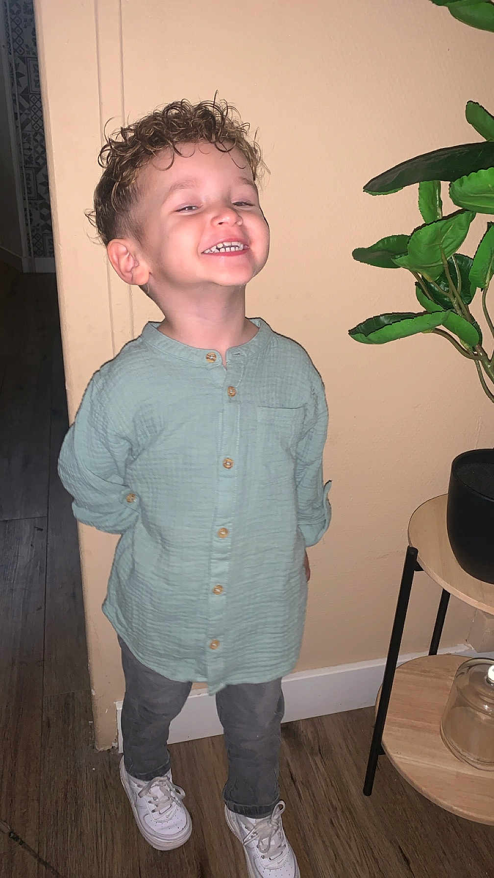 Lyzandro a rejoint le concours — aidez-le/la à gagner de superbes lots ! child, smiling, curly_hair, indoor, green_shirt, gray_pants, white_sneakers, standing, plant, wooden_table, jar, happy, boy, floor, wall, casual_clothing, portrait, home, wooden_floor, furniture