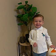Lyzandro participe au concours pour gagner de l'argent avec cette photo : child, boy, smiling, indoor, plant, table, toy, jeans, white_shirt, dinosaur_print, wooden_floor, decor, happy, casual_clothing, furniture, home, young_child, short_hair, person, playful
