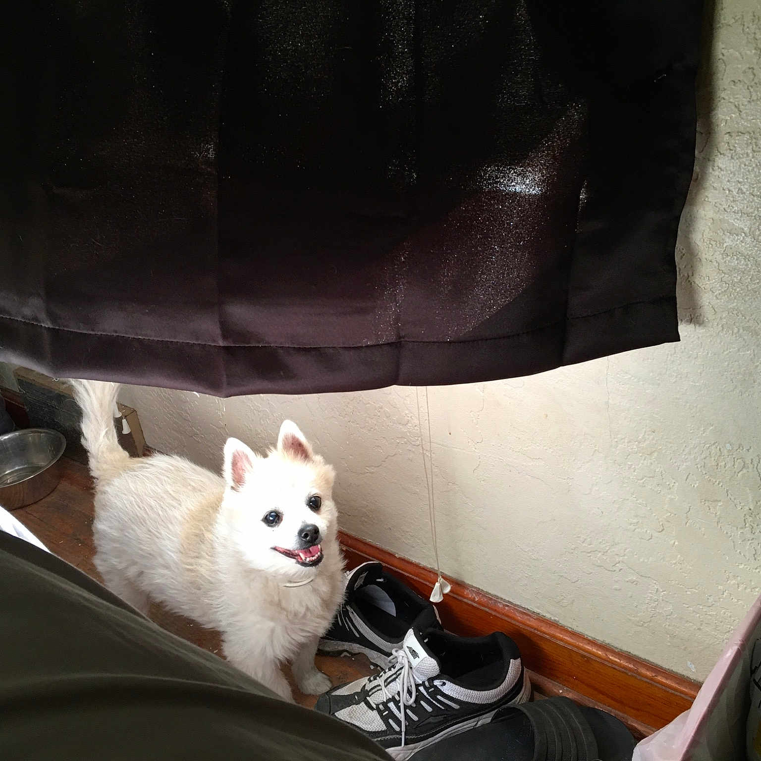 Max