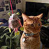 cat, orange_tabby, toy_mouse, collar, indoor, furniture, blanket, wall_art, television, pet, whiskers, curious, fuzzy_toy, dangle, bedroom, cozy, blurred_background, domestic_animal, playful, soft_lighting