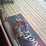 dog, brindle, toy, purple_toy, welcome_mat, wooden_porch, glass_door, reflection, outdoor, pet, playing, relaxed, canine, flooring, door_handle, wood, animal, domestic_animal, daylight, resting