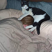 Kiki is registered to the contest to win money with this photo: cat, sleeping, bed, pillow, blanket, comforter, indoor, rest, relaxation, pet, animal, feline, black_and_white_cat, human, head, cozy, domestic, cute, nap, companion