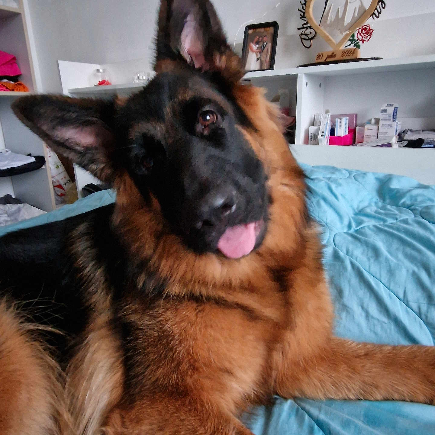 U'Kira