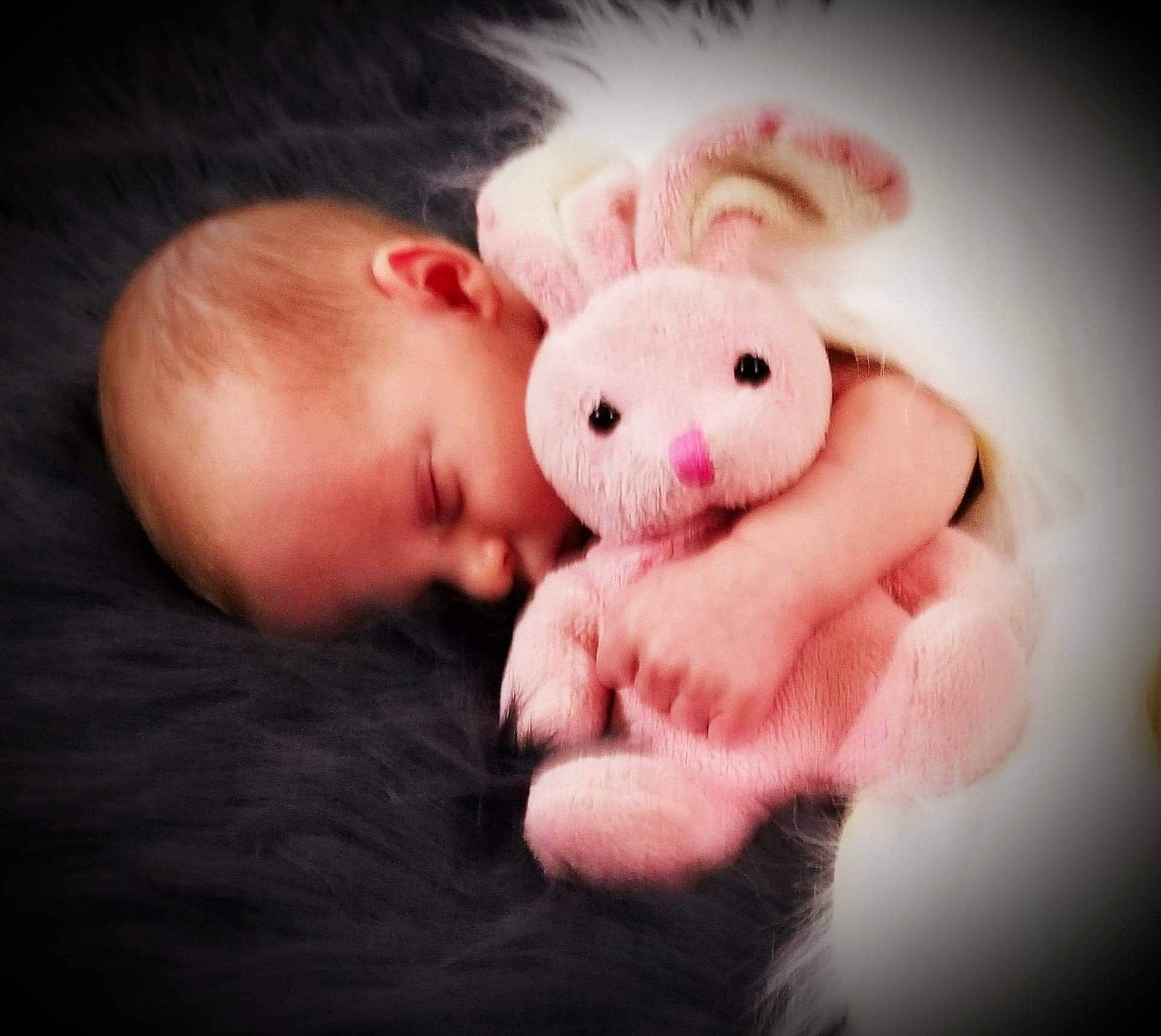 Bradley joined the competition — help win amazing prizes! child, ear, infant, nose, person, pig, pig_like_mammal, pink, rabbit, rabits_and_hares, skin, smile, snout, stuffed_toy, textile