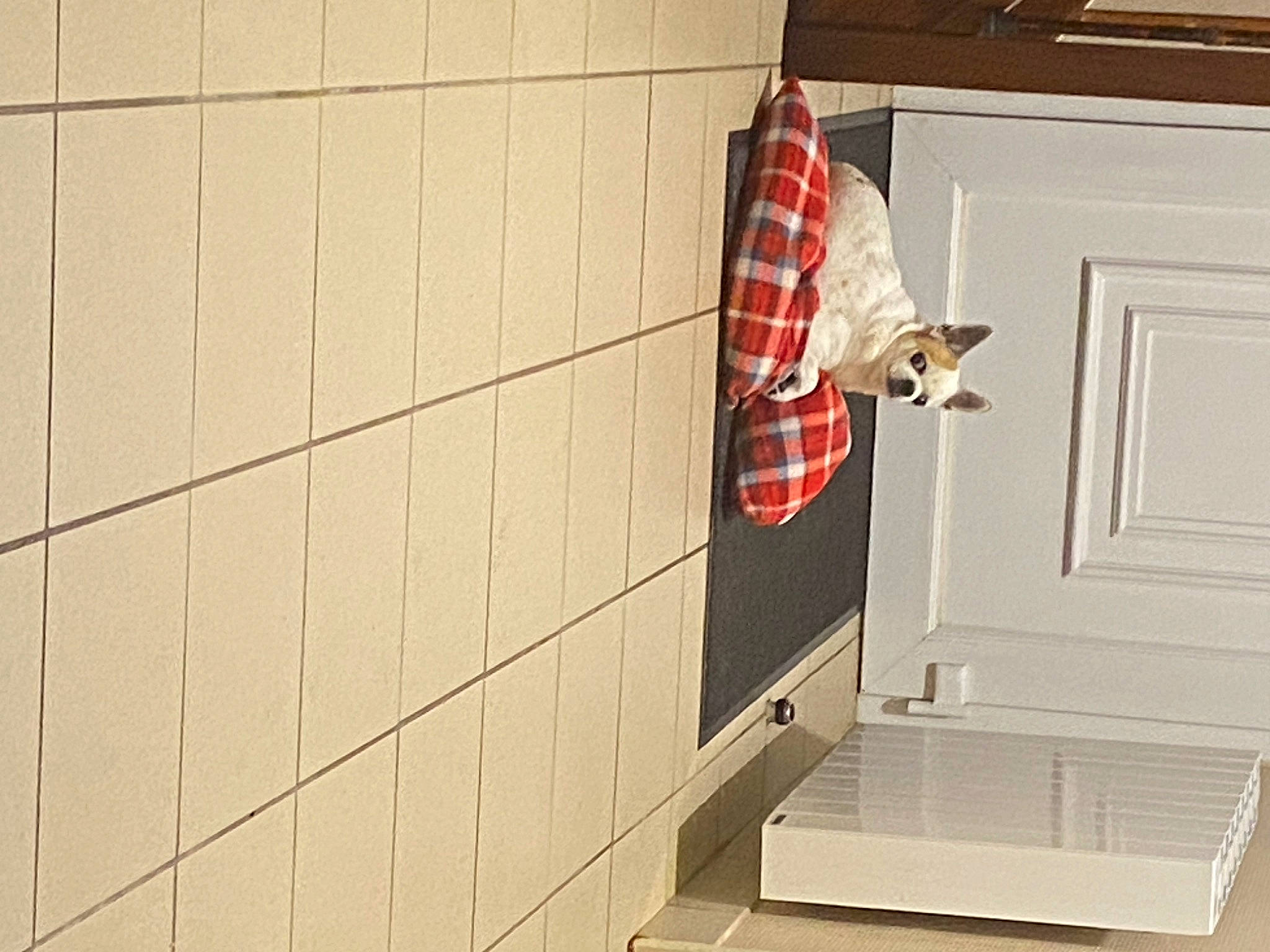 Gadget participe au concours pour gagner de l'argent avec cette photo : building, cabinetry, ceiling, chair, door, flag_of_the_united_states, floor, flooring, hardwood, house, kitchen, pattern, plaid, rectangle, room, sash_window, tartan, window, window_covering, wood