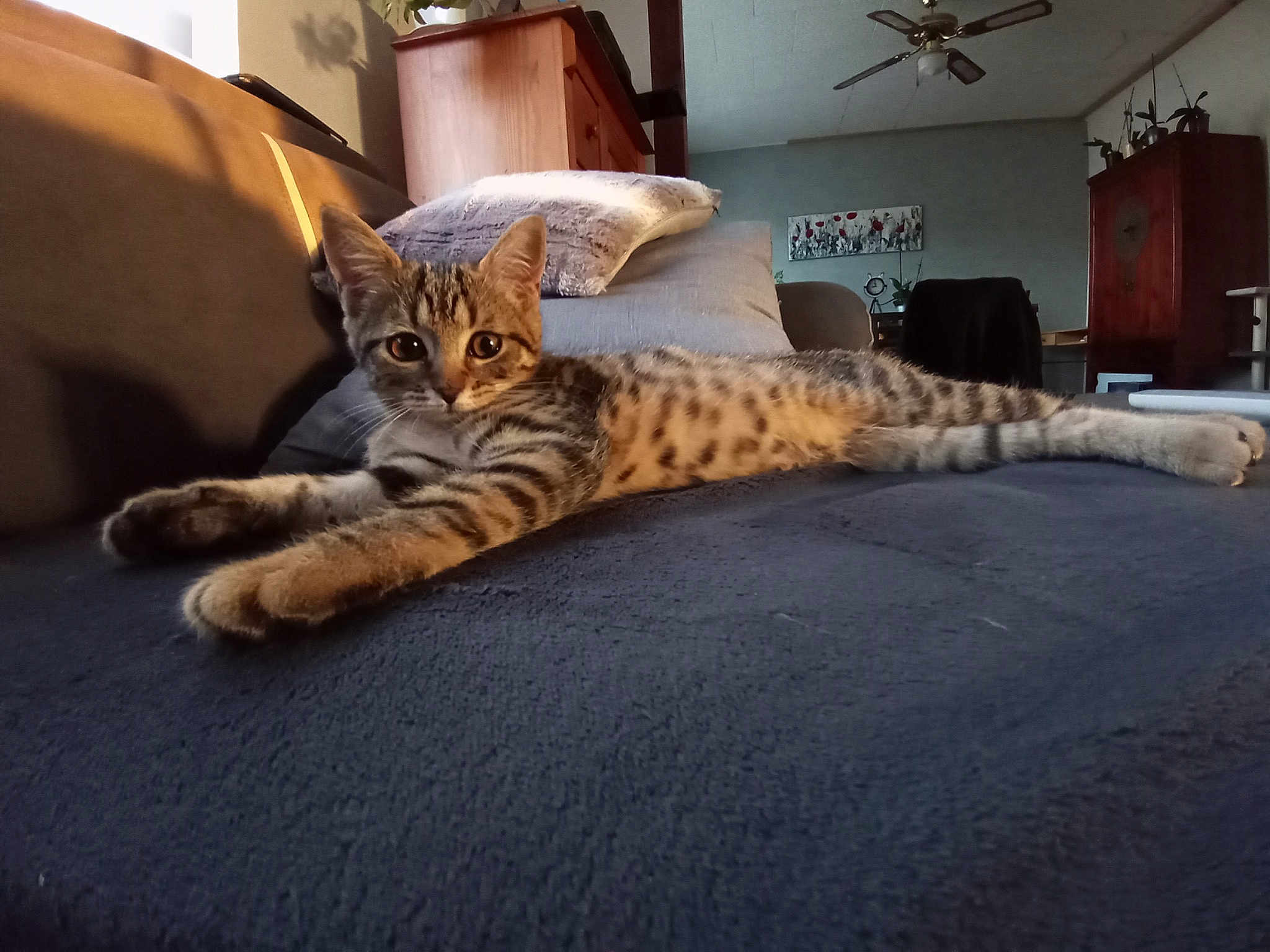 Kira