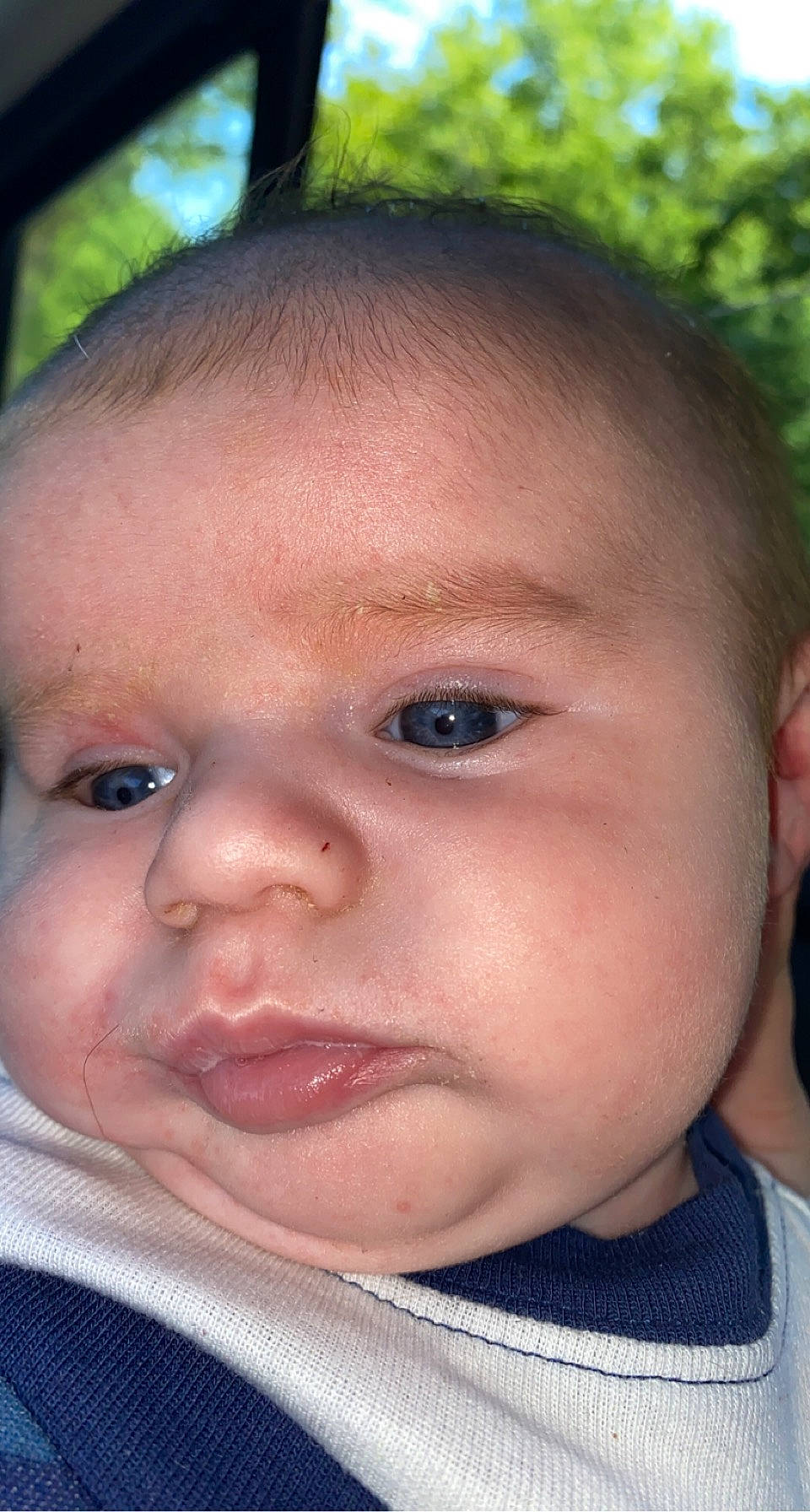 Brexton joined the competition — help win amazing prizes! baby, baby_toddler_clothing, cheek, child, chin, close_up, ear, eyebrow, eyelash, forehead, grass, happy, iris, lip, mouth, neck, nose, person, skin, smile