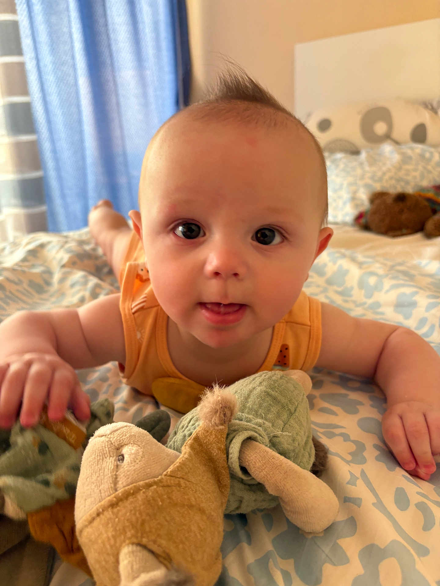Elio participe au concours pour gagner de l'argent avec cette photo : baby, infant, child, plush_toy, bedspread, pattern, curtains, bedroom, toy, hand, face, eyes, orange_clothing, soft_toy, indoor, light, moawk_hair, person, closeup, crawling