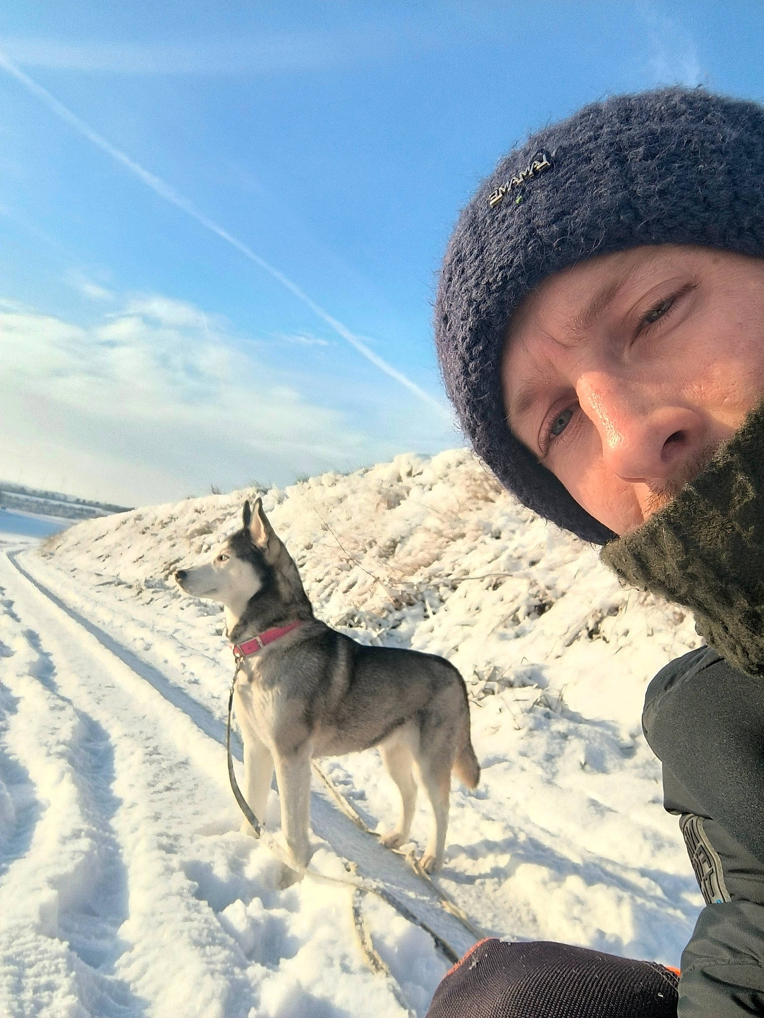 Kali participe au concours pour gagner de l'argent avec cette photo : cap, carnivore, cloud, dog, dog_breed, fawn, freezing, fun, glacial_landform, ice_cap, landscape, leash, mammal, sky, sled_dog, slope, snow, vertebrate, winter, working_animal