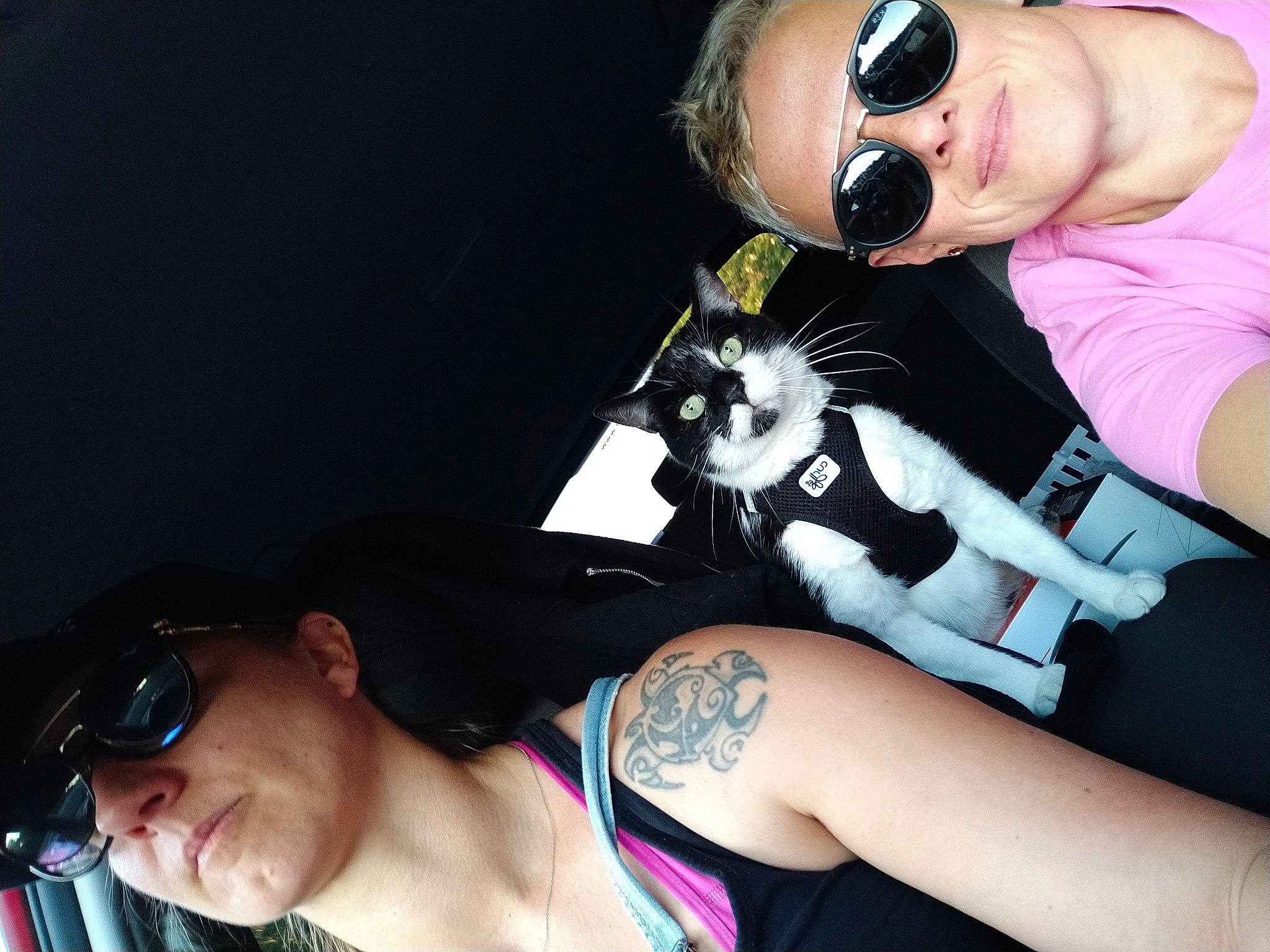 Enky participe au concours pour gagner de l'argent avec cette photo : arm, black_hair, cool, ear, eyewear, glasses, love, neck, photography, sunglasses, t_shirt, tattoo, tattoo_artist