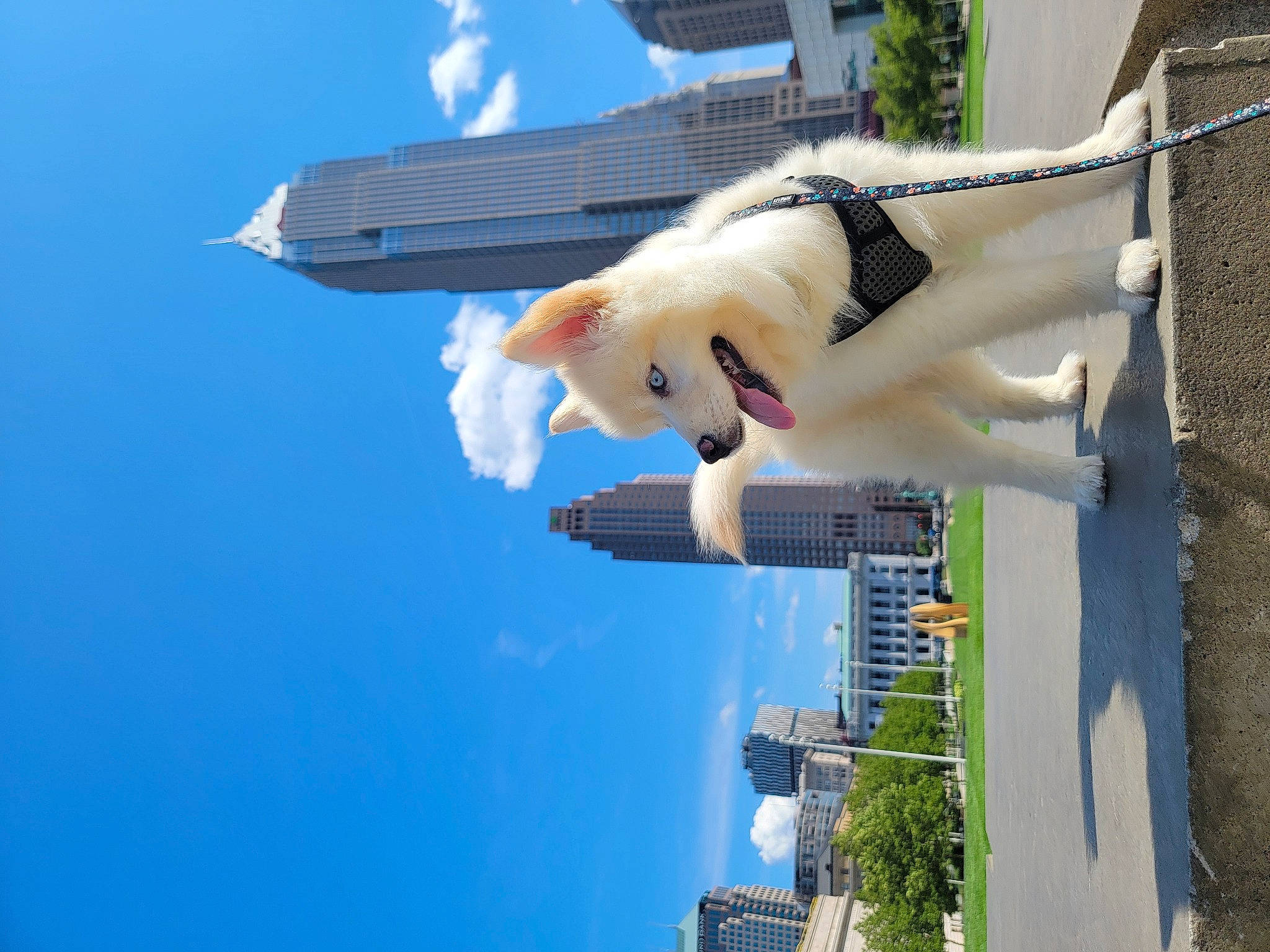Aurora joined the competition — help win amazing prizes! art, blue, building, city, cloud, condominium, daytime, dress, facade, fun, house, leisure, line, sculpture, sky, statue, tower_block, travel, tree, window