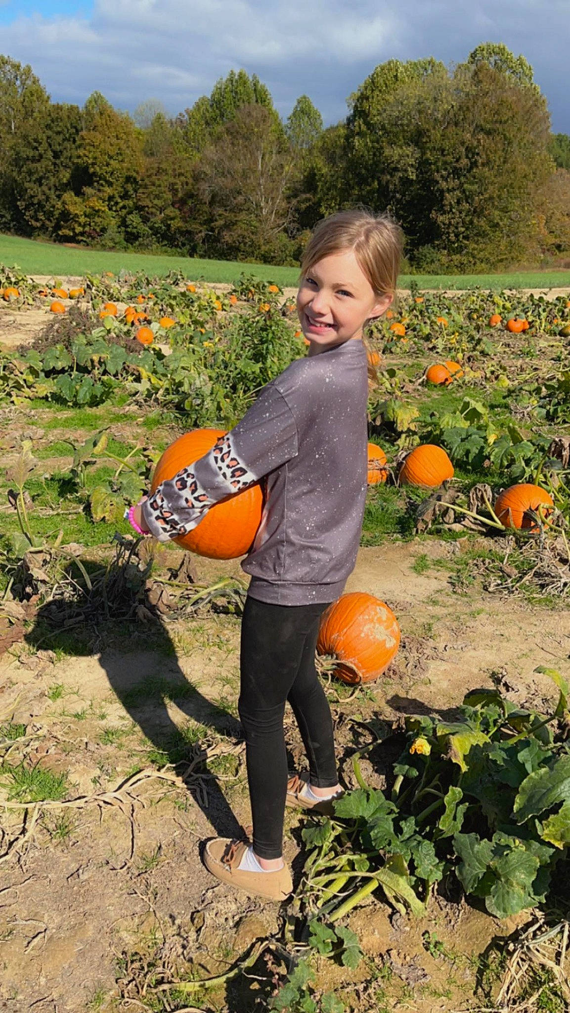 Averee Renee Garland is registered to the contest to win money with this photo: agriculture, calabaza, cucurbita, farmer, field, gourd, grass, happy, joy, local_food, natural_foods, people_in_nature, person, plant, produce, pumpkin, sky, smile, squash, tree