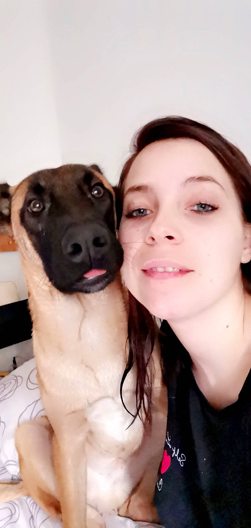 Parker a rejoint le concours — aidez-le/la à gagner de superbes lots ! carnivore, companion_dog, dog, dog_breed, ear, eyelash, fawn, flash_photography, gesture, happy, jaw, nose, selfie, skin, smile, snout, sporting_group, throat, whiskers, working_animal