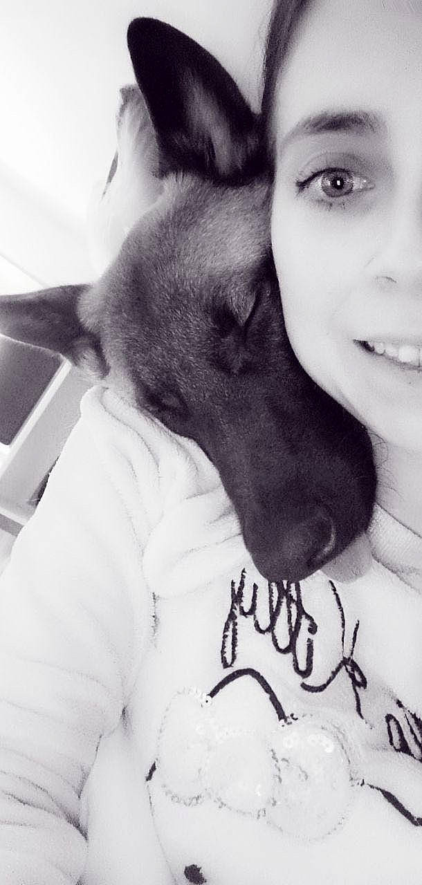 Parker a rejoint le concours — aidez-le/la à gagner de superbes lots ! black, black_and_white, carnivore, companion_dog, cool, dog, dog_breed, ear, eye, eyelash, flash_photography, gesture, hand, happy, jaw, neck, nose, smile, style, white