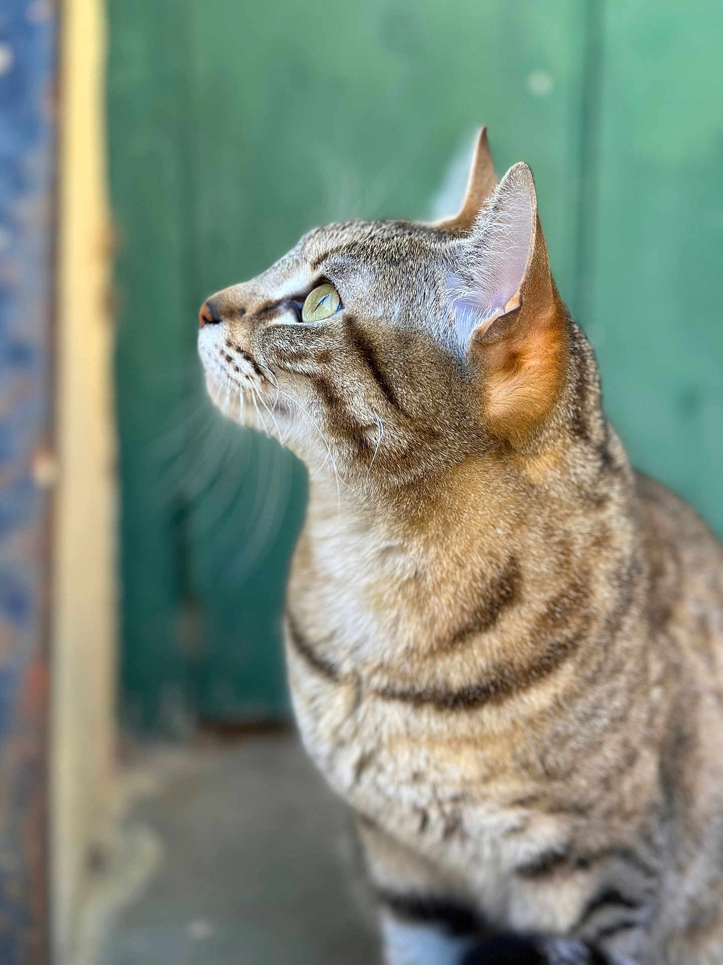 Hera