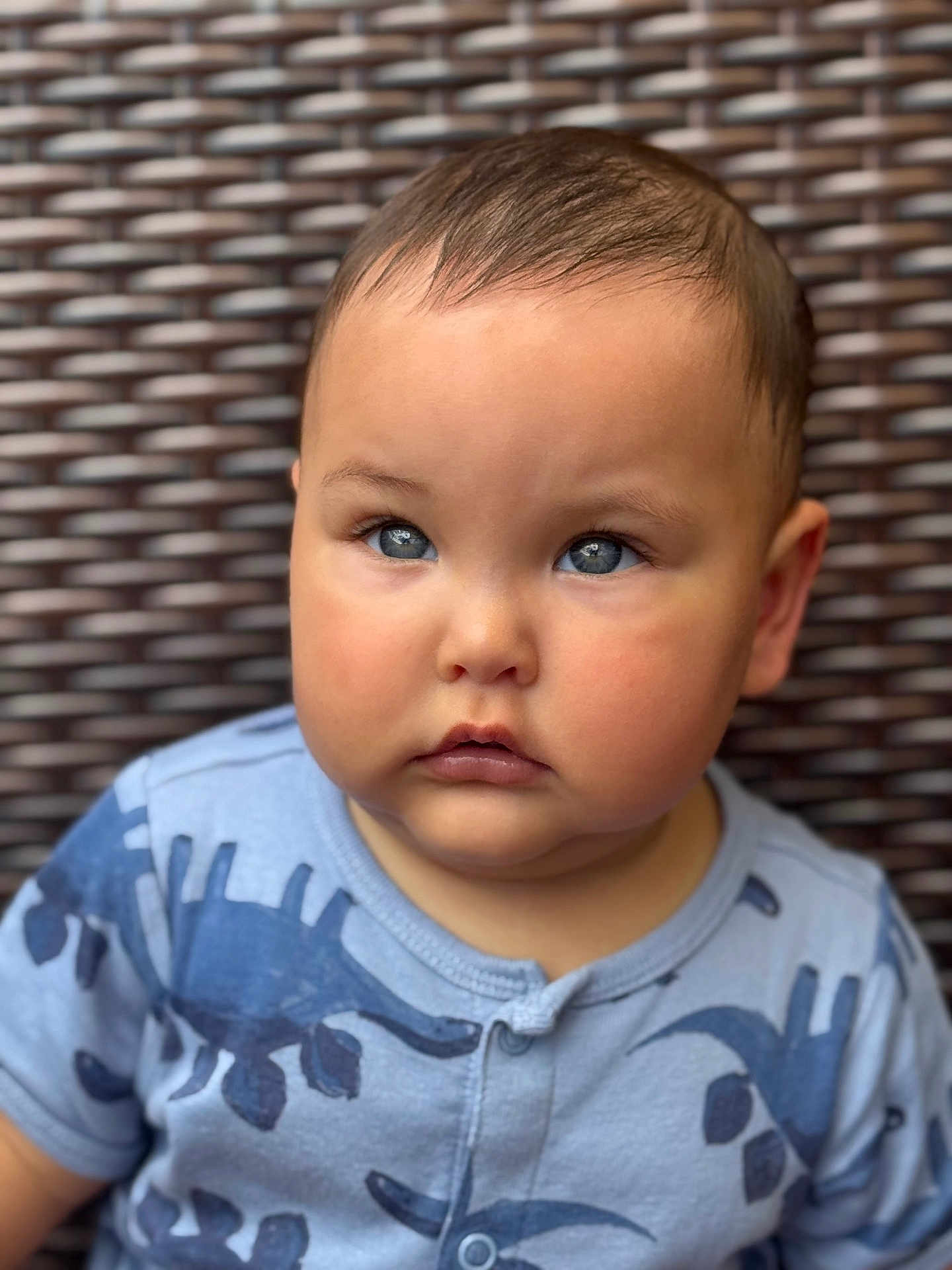 Dylan