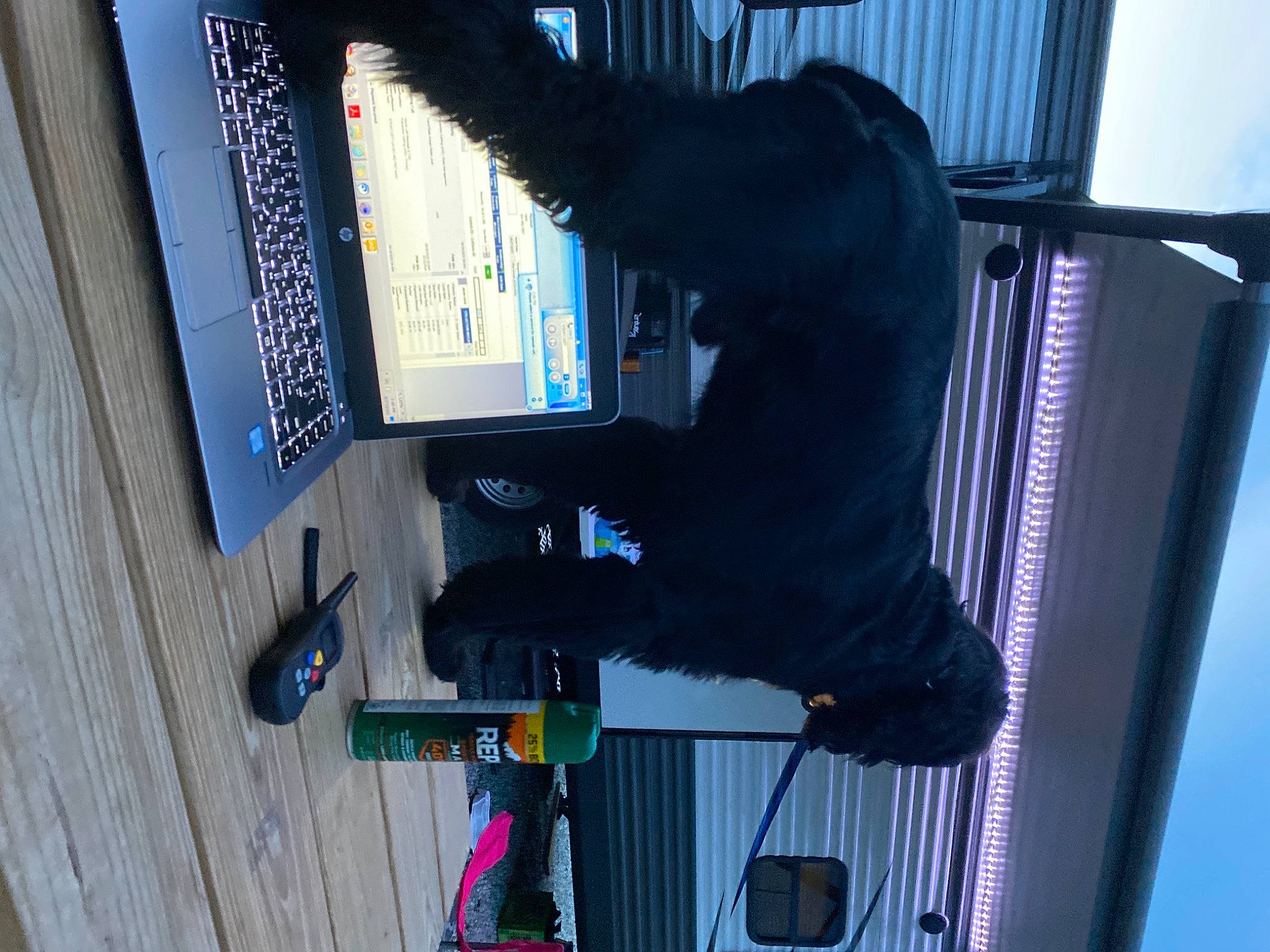 Cooper joined the competition — help win amazing prizes! audio_equipment, cable, computer, display_device, elbow, electric_blue, electrical_supply, electrical_wiring, electricity, electronic_device, engineering, gas, knee, machine, room, sky, technology, walking_shoe, wire, wrist