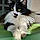 Minette