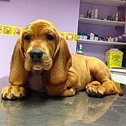 Idem participe au concours pour gagner de l'argent avec cette photo :