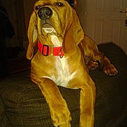 Idem a rejoint le concours — aidez-le/la à gagner de superbes lots !