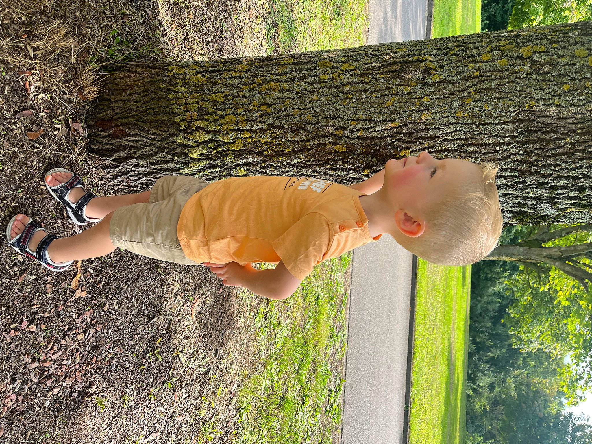 Charli participe au concours pour gagner de l'argent avec cette photo : baby, child, fun, grass, happy, hat, human_body, human_leg, leisure, people_in_nature, person, plant, shadow, soil, toddler, tree, trunk, vacation, wood