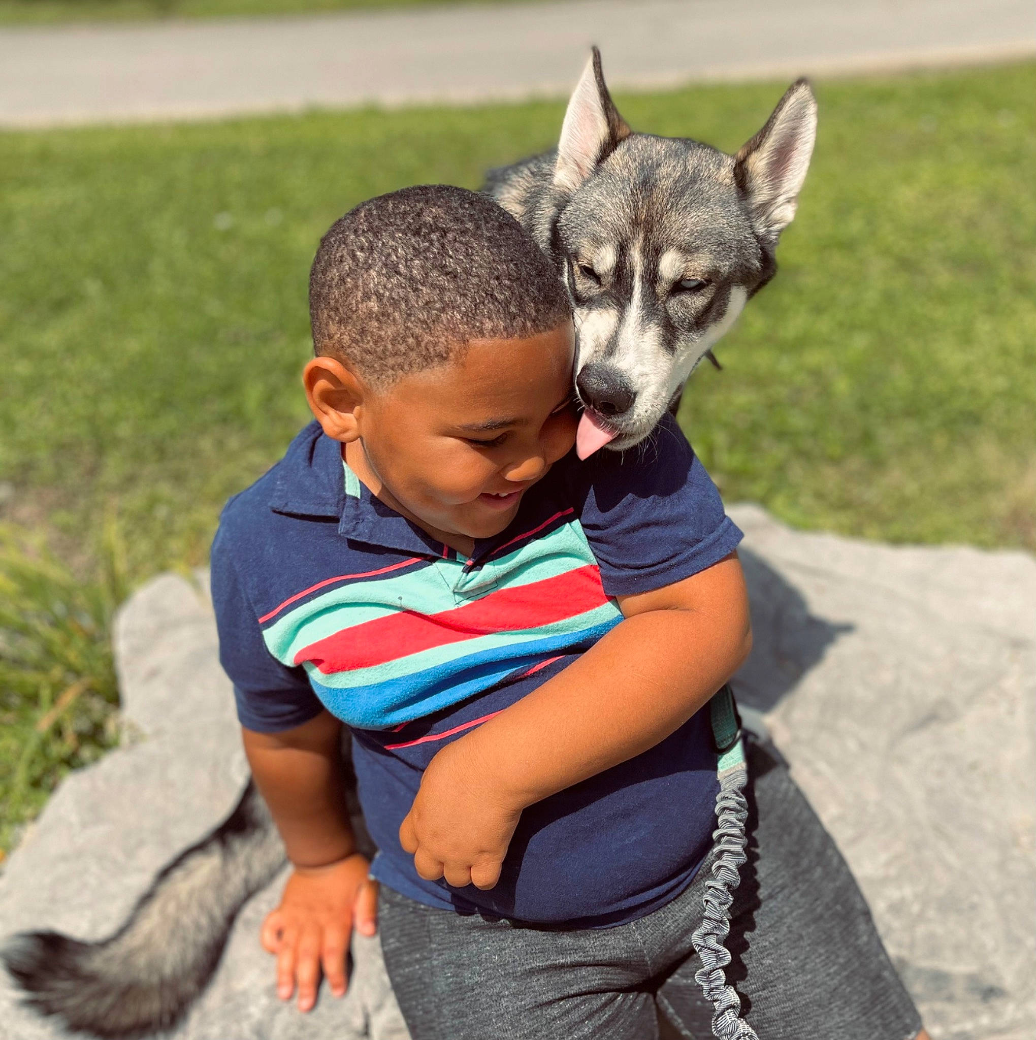 Desmond joined the competition — help win amazing prizes! canidae, carnivore, child, companion_dog, dog, dog_breed, fun, fur, grass, happy, head, hug, leisure, people_in_nature, person, recreation, sitting, smile, soil, t_shirt