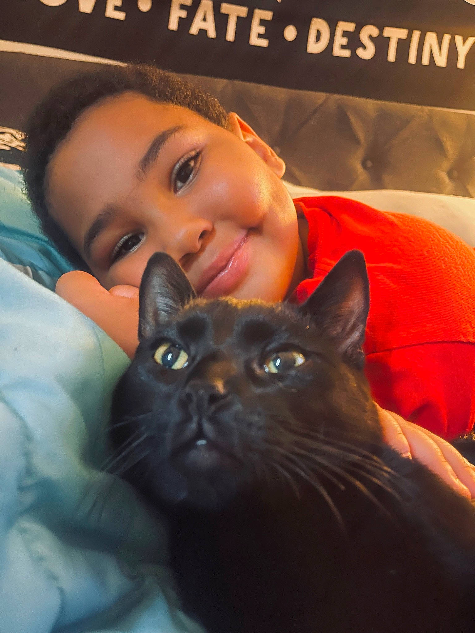 Desmond joined the competition — help win amazing prizes! black_cat, bombay, carnivore, cat, comfort, domestic_short_haired_cat, eye, felidae, fur, happy, iris, joy, mammal, nose, organ, person, photo_caption, small_to_medium_sized_cats, smile, snapshot