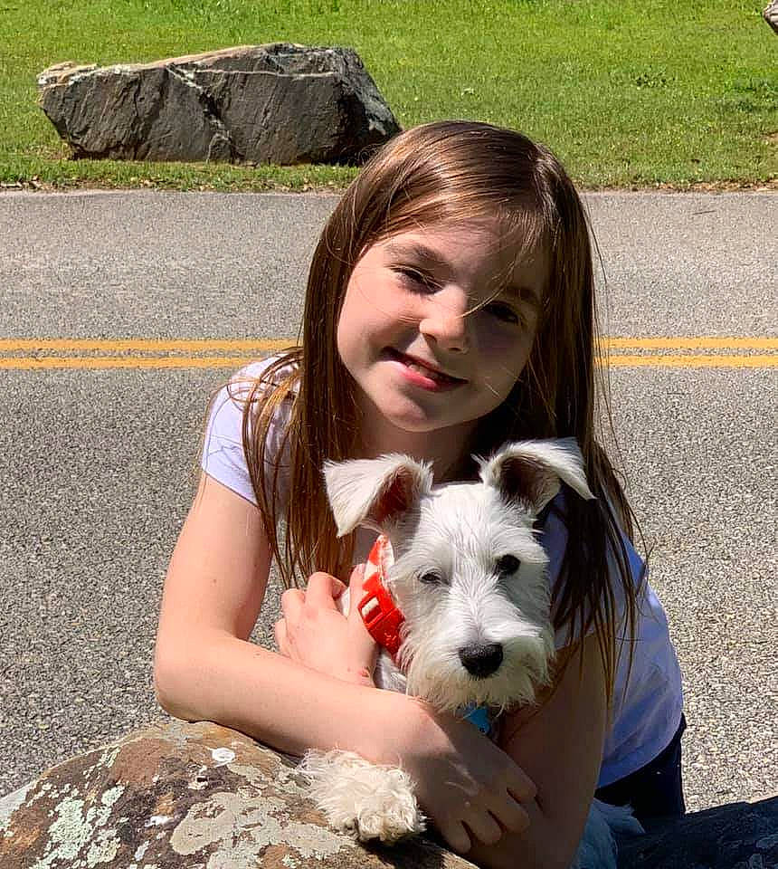 Stormie is registered to the contest to win money with this photo: canidae, carnivore, companion_dog, dog, dog_breed, joy, mammal, miniature_schnauzer, person, rare_breed_dog, sealyham_terrier, small_terrier, sporting_lucas_terrier, terrier, vertebrate, west_highland_white_terrier