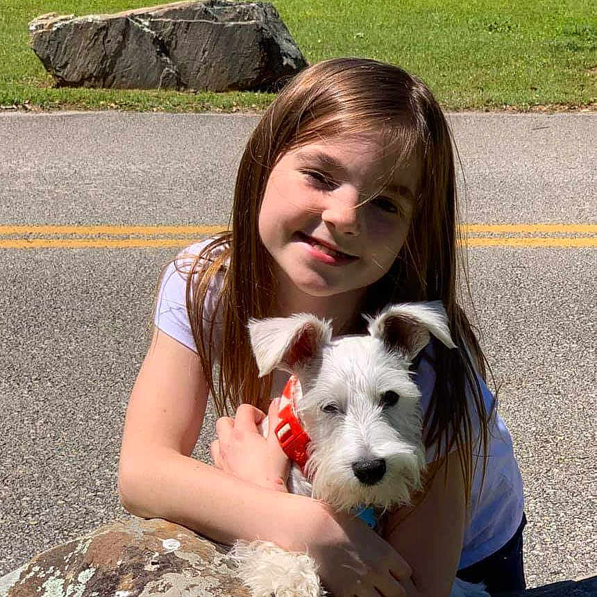 Stormie is registered to the contest to win money with this photo: canidae, carnivore, companion_dog, dog, dog_breed, joy, mammal, miniature_schnauzer, person, rare_breed_dog, sealyham_terrier, small_terrier, sporting_lucas_terrier, terrier, vertebrate, west_highland_white_terrier