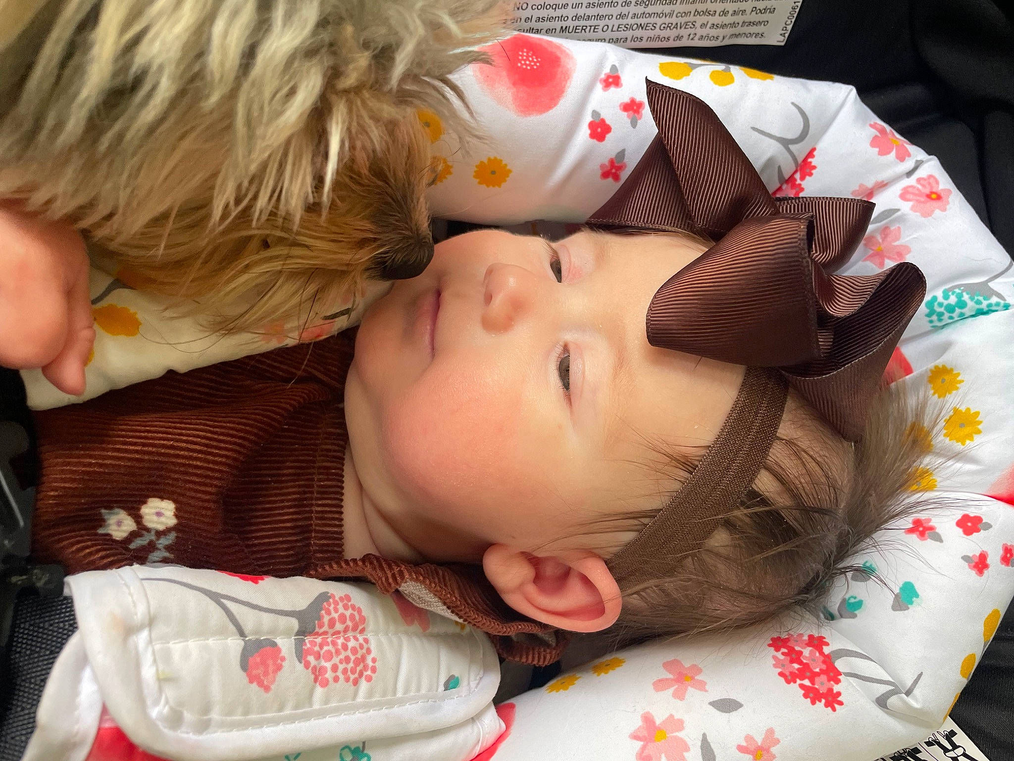 Aryanna joined the competition — help win amazing prizes! baby, bangs, bedtime, brown_hair, cheek, child, comfort, eye, eyelash, fur, happy, linens, lip, nap, nose, pattern, person, skin, sleep, toddler