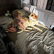 Paisley joined the competition — help win amazing prizes! toddler, child, dog, bed, pillow, blanket, curtain, room, pet, playing, indoor, baby, fur, comfort, resting, sleeping_area, animal, home, cute, interaction