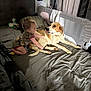 toddler, child, dog, bed, pillow, blanket, curtain, room, pet, playing, indoor, baby, fur, comfort, resting, sleeping_area, animal, home, cute, interaction
