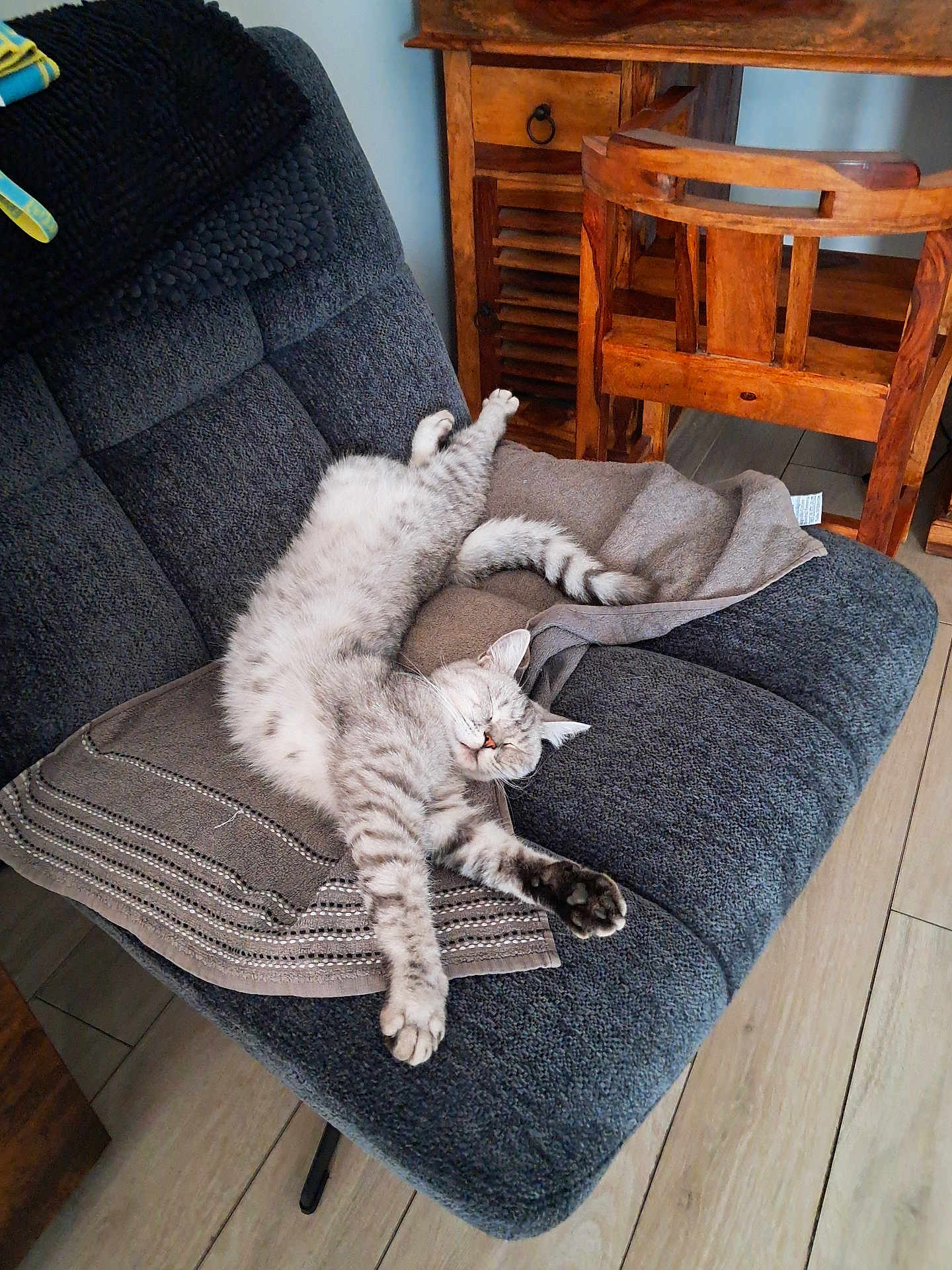 Oups participe au concours pour gagner de l'argent avec cette photo : cat, gray_cat, tabby, sleeping, relaxed, chair, furniture, wooden_chair, wooden_cabinet, home, indoor, cozy, paw, fur, pet, animal, floor, blanket, resting, peaceful