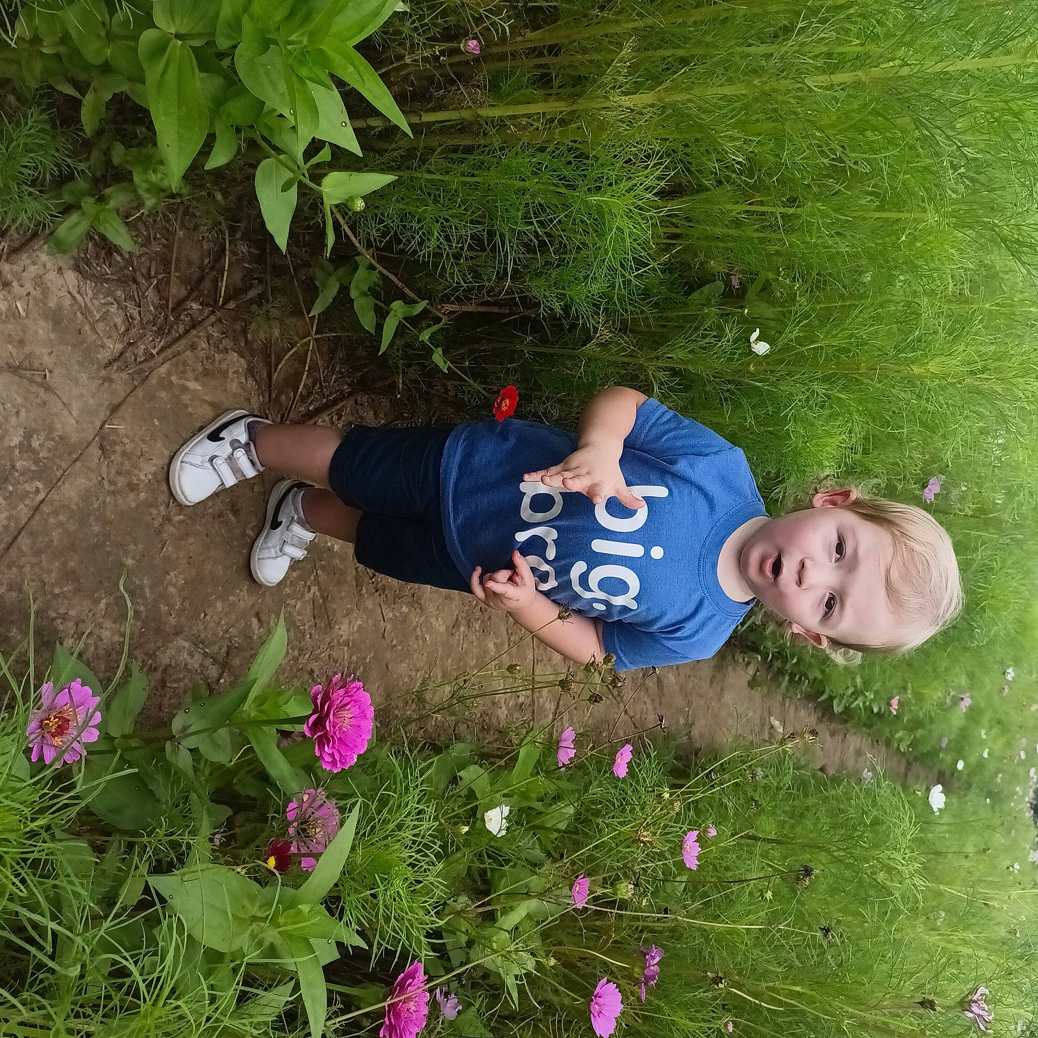Waylon is registered to the contest to win money with this photo: annual_plant, botany, flower, garden, gardening, grass, grass_family, grassland, green, groundcover, happy, herbaceous_plant, landscape, people_in_nature, person, petal, plant, shrub, soil, t_shirt