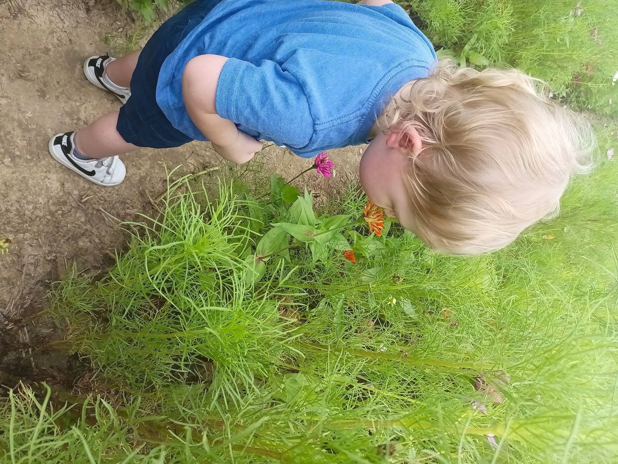 Waylon is registered to the contest to win money with this photo: child, flowering_plant, gardening, grass, grass_family, grassland, groundcover, herb, landscape, lawn, meadow, people_in_nature, person, plant, prairie, shrub, soil, subshrub, t_shirt, terrestrial_plant