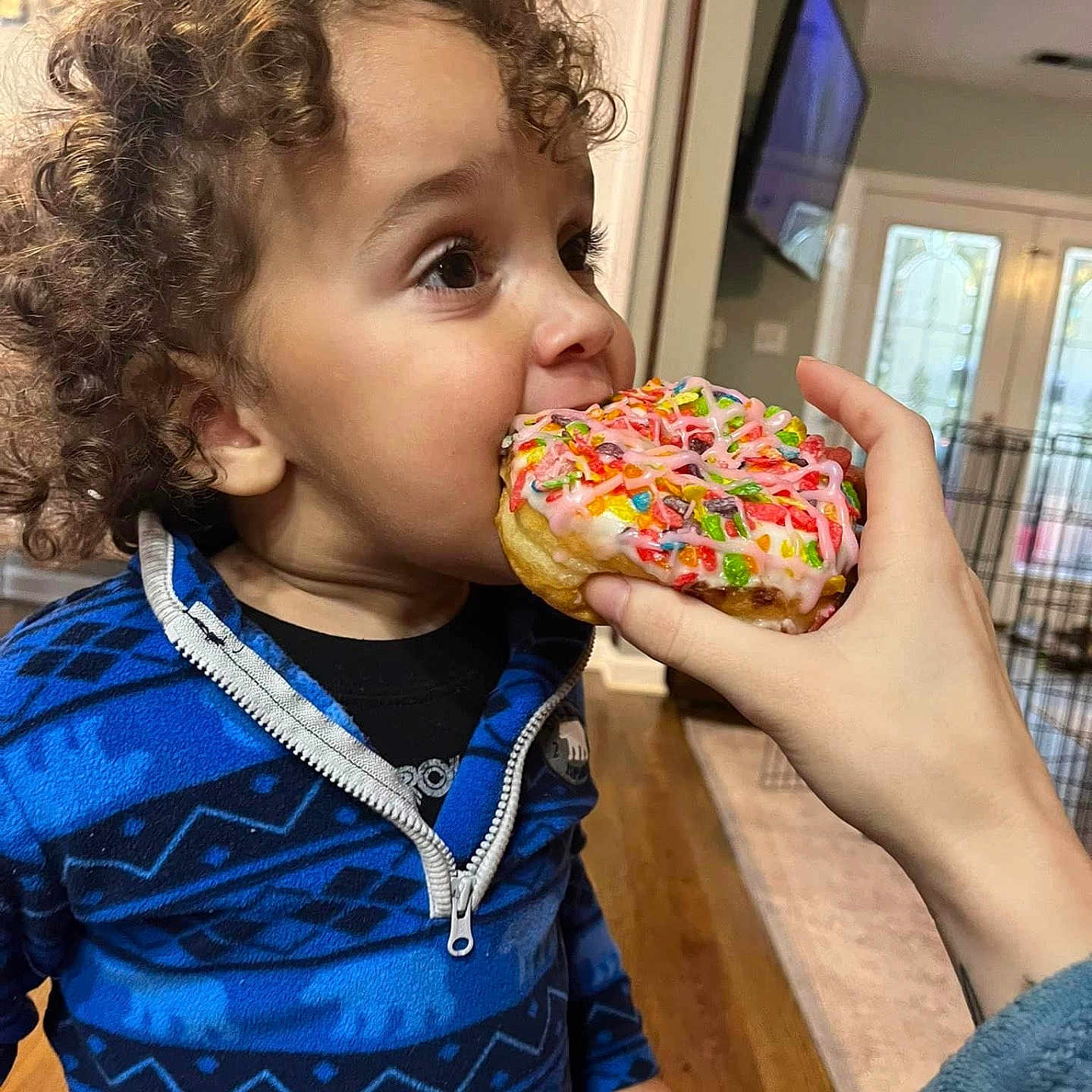 Roman joined the competition — help win amazing prizes! baby, birthdaycake, biting, cake, computerhardware, cream, dessert, eating, electronics, face, food, hair, hardware, head, monitor, person, screen