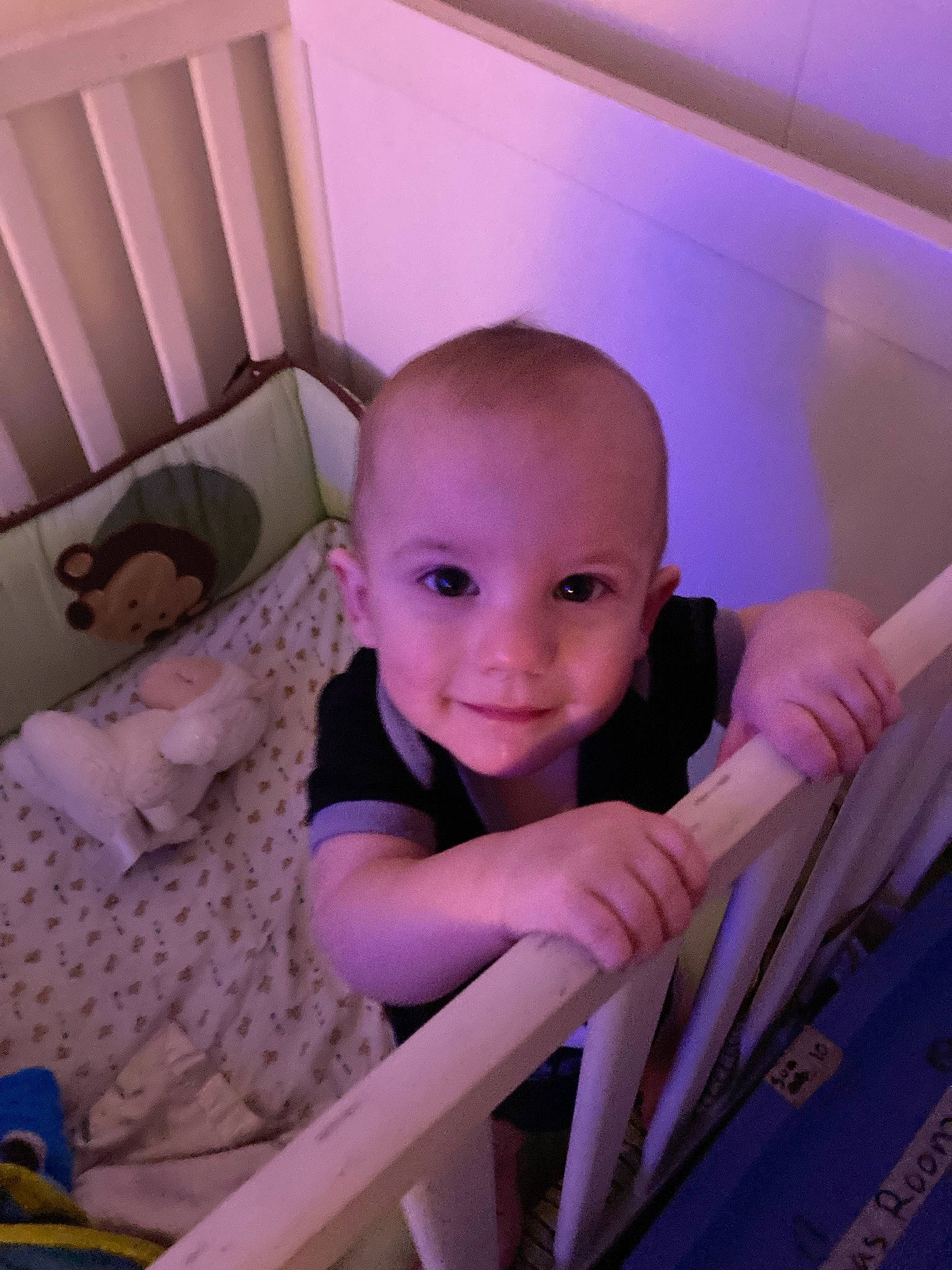 Dominic is registered to the contest to win money with this photo: baby, baby_products, child, comfort, electric_blue, flooring, fun, happy, human_leg, joy, leisure, magenta, person, pink, purple, room, sitting, smile, stairs, thumb