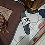 dog, dog_bed, shoe, slide_sandal, tile_floor, brown, small_dog, clutter, corner, household_items, floor_tile, indoor, pet, resting, paw, furniture, plastic_bottle, shadow, cable, messy
