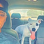 animal, backseat, cap, car_interior, casual_clothing, daylight, dog, driver, headrest, man, pet, playful, portrait, seat, seatbelt, selfie, smile, tongue_out, white_dog, window