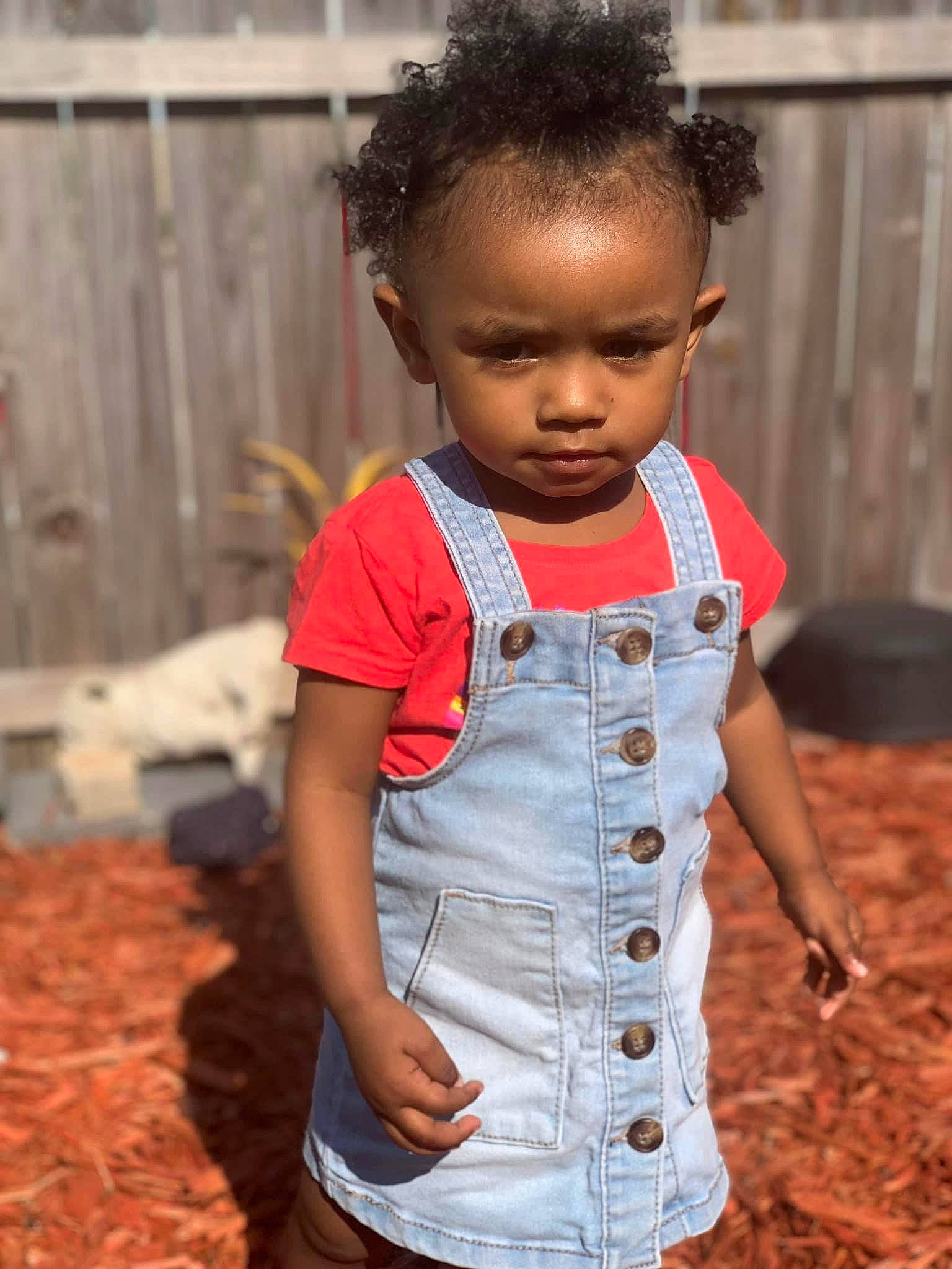 Kyari is registered to the contest to win money with this photo: baby_toddler_clothing, button, child, chin, clothing, collar, denim, eye, face, grass, hair, hairstyle, happy, head, nose, person, skin, sleeve, t_shirt, toddler